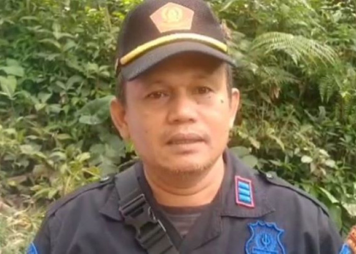 Dua Macan Terpantau di Hutan Mendolo Pekalongan, Perhutani Sterilisasi Kawasan dan Perketat Patroli