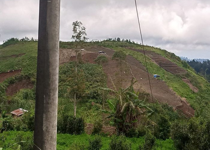 Polisi Selidiki Alih Fungsi Lahan Hutan di Petungkriyono