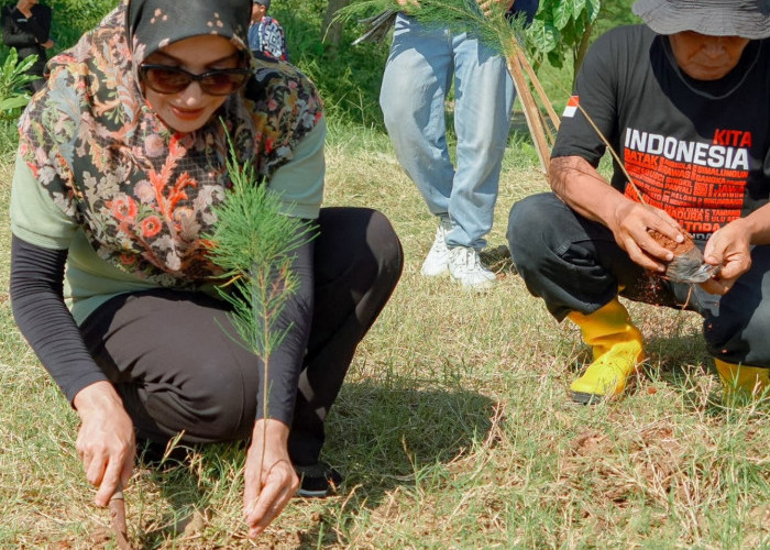  Balgis Apresiasi Tanam Pohon dan Bersih Pantai Slamaran, Dorong Gerakan Peduli Lingkungan