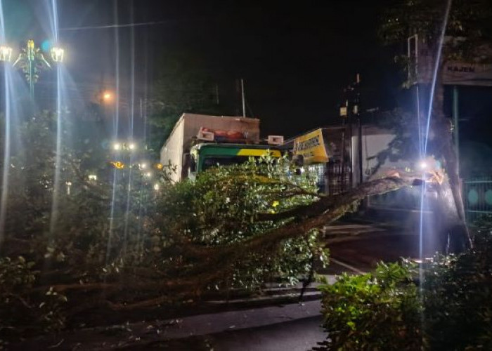 Truk Bermuatan Hebel Tabrak Pohon di Depan SMAN 1 Kajen, Arus Lalu Lintas Sempat Tersendat