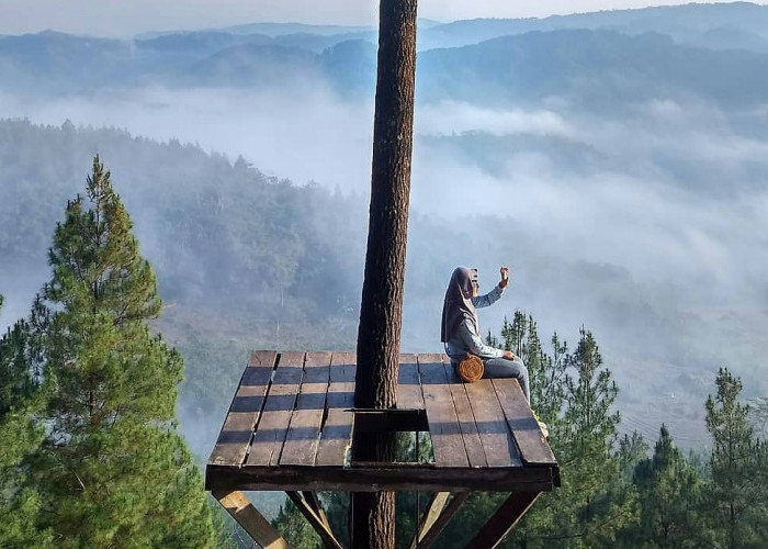 Tidak Hanya Pantai Saja 5 Wisata Alam di Kebumen Ini Sayang untuk Dilewatkan, Cocok Dikunjungi Keluarga!