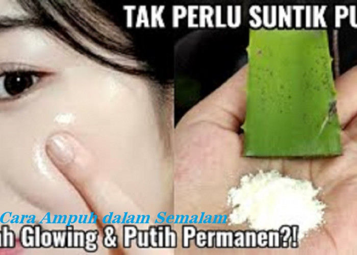 4 Cara Cepat Memutihkan Wajah dengan Lidah Buaya Dalam 1 Hari, Bikin Wajah Glowing Tanpa Noda Hitam Membandel 