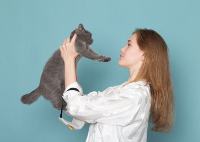 Apa Syarat Vaksin Kucing? Ini Dia Himbauan dari Dokter Hewan yang Perlu Kamu Tahu agar Anabul Siap Divaksin!