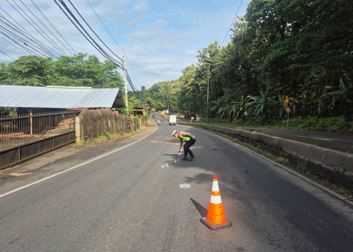 Kecelakaan Maut di Pantura Batang, Seorang Pelajar Meninggal Setelah Jadi Korban Tabrak Lari