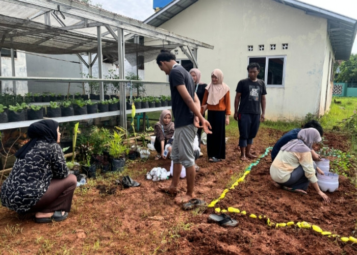 Mahasiswa KKN Unikal Bangun Taman TOGA sebagai Apotek Hidup Warga Desa Kedungjaran Sragi