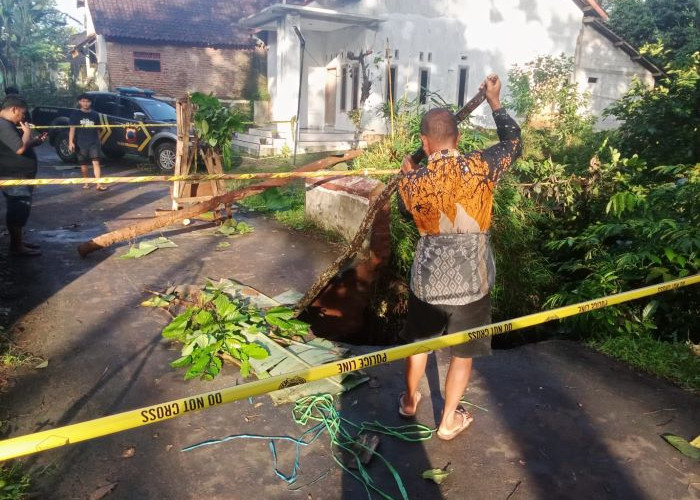 Jembatan Randukuning Doro Ambrol Diterjang Hujan Deras, Polisi Tutup Total Jalur dan Alihkan Arus Kendaraan