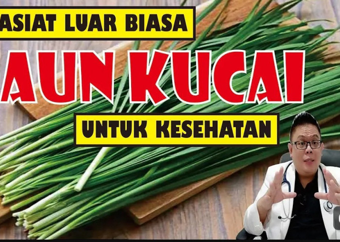 Manfaat Daun Kucai Bagi Tubuh dan Cara Membuat Makanan jadi Nikmat