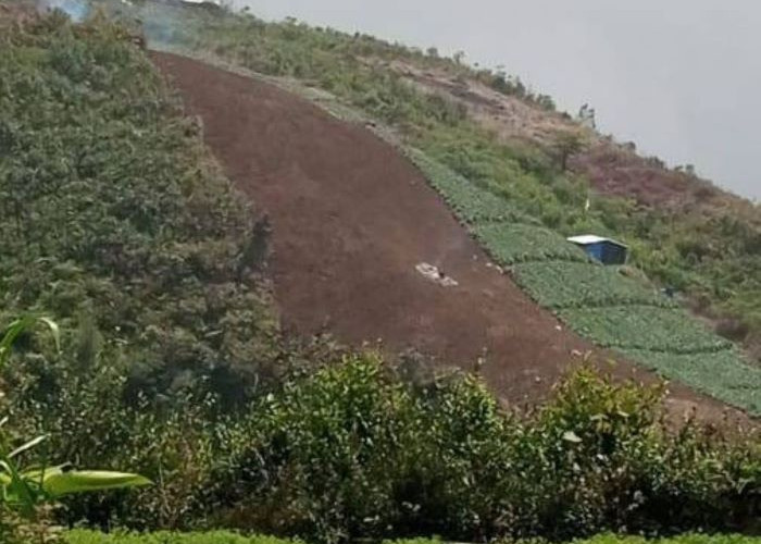 Pemkab Pekalongan Perketat Regulasi Lewat Perda Tata Ruang, Antisipasi Alih Fungsi Lahan di Pegunungan