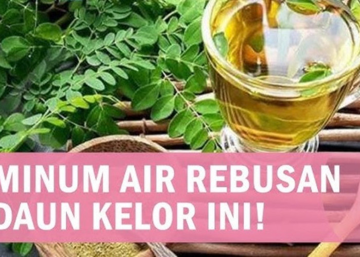 Manfaat Air Rebusan Daun Kelor untuk Kesehatan Lansia 60 Tahun ke Atas, Bisa Menghambat Penuaan Dini Lho!