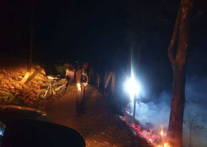 Kebakaran Hutan Pinus di Tajur Kandangserang Bikin Warga Bergerak Cepat, 250 Meter Persegi Lahan Hangus