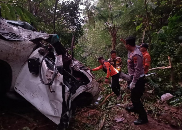 Fortuner Terjun ke Jurang di Jalur Dieng - Bawang, 4 Penumpang Tewas Di Lokasi Kejadian