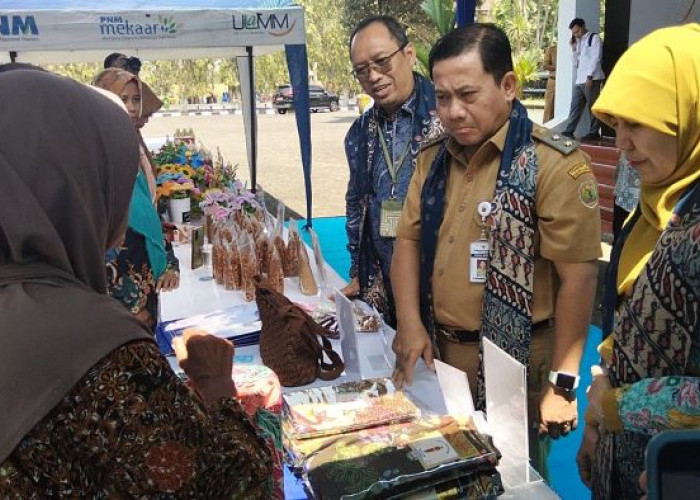 Bukan Cuma Modal! PNM Bikin 250 Pengusaha Pekalongan Bersiap Naik Kelas, Ini Strateginya