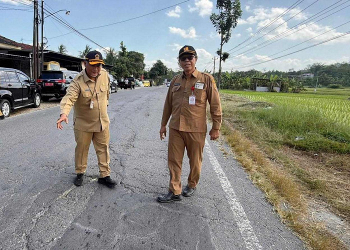 Dongkrak Infrastruktur Perbatasan,  Perbaikan Jalan Provinsi di Wonogiri Melonjak Jadi Rp42 M