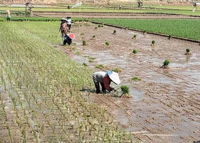 Antisipasi Kekeringan, Pemkab Batang Sinergi dengan PDAB Jateng