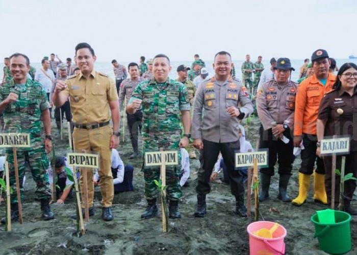 Lima Wilayah Sukses Ditanami Total 8.000 Mangrove