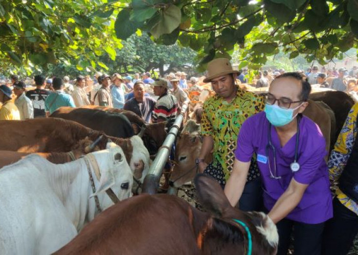 PMK Dan LSD Masih Mengintai, DKPP Kabupaten Pekalongan Perketat Pengawasan Hewan Kurban Jelang Idul Adha 2026