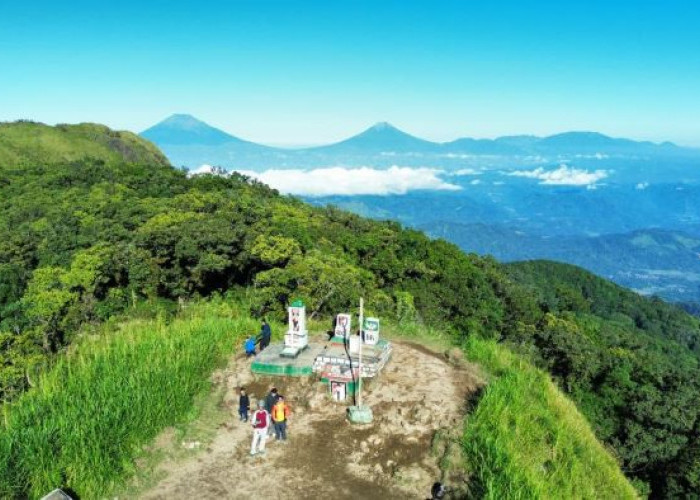 Cari Jejak Macan Tutul Jawa di Gunung Ungaran, YLNH, Yayasan Akar Banir dan UNNES Pasang Kamera Jebak