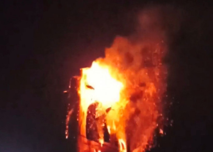 Viral! Pohon Setinggi 20 Meter di Dororejo Terbakar Hebat Disambar Petir, Api Tak Padam 2 Hari