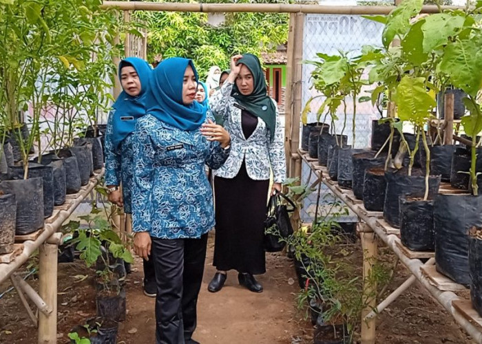 Warga Tengeng Wetan Manfaatkan Lahan Pekarangan Rumah dengan di Tanami Sayur Mayur
