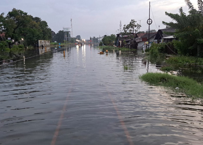 Jalur KA Pekalongan–Sragi Terendam Banjir, Sejumlah Kereta Dialihkan