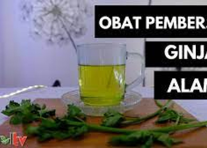 Berikut Minuman Alami untuk Membersihkan Ginjal, Ampuh Meluruhkan Batu Ginjal, Apa Saja? Cek Daftarnya 