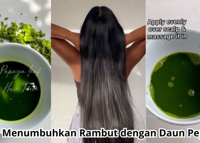 Cara Menumbuhkan Rambut dengan Daun Pepaya, Diracik Menjadi Hair Tonic Begini Caranya