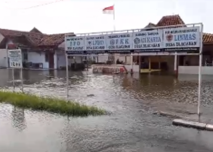 Miris! Banjir Rob Tiap Sore Rendam Desa Blacanan di Pesisir Pekalongan