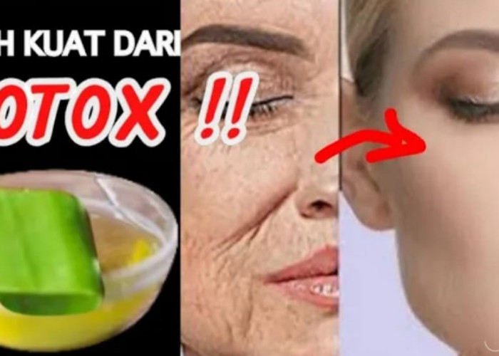 3 Cara Membuat Masker Alami untuk Menghilangkan Kerutan di Wajah Dalam 1 Malam, Wajah jadi Kencang Bebas Noda