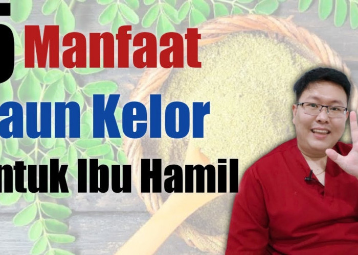 Mau Tau Manfaat Daun Kelor untuk Wanita? Yuk Kaum Hawa Merapat, Ini 3 Manfaatnya