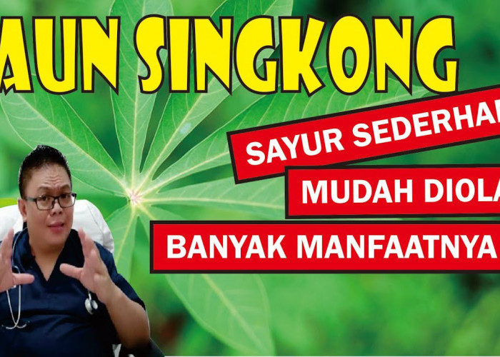 Inilah Manfaat Dari Daun Singkong Untuk Kesehatan Tubuh, Mau Tahu?