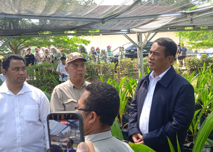 Kunjungi Nursery Kelapa Batang, Mentan Amran Pastikan Bibit Gratis Dari Presiden Prabowo untuk Petani