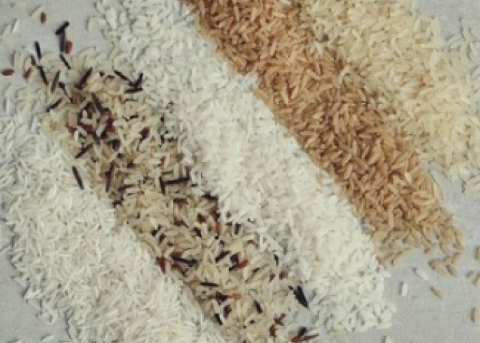 6 Jenis Nasi yang Cocok untuk Diet, Beras Shirataki dan Porang Jadi Rajanya Beras Diet