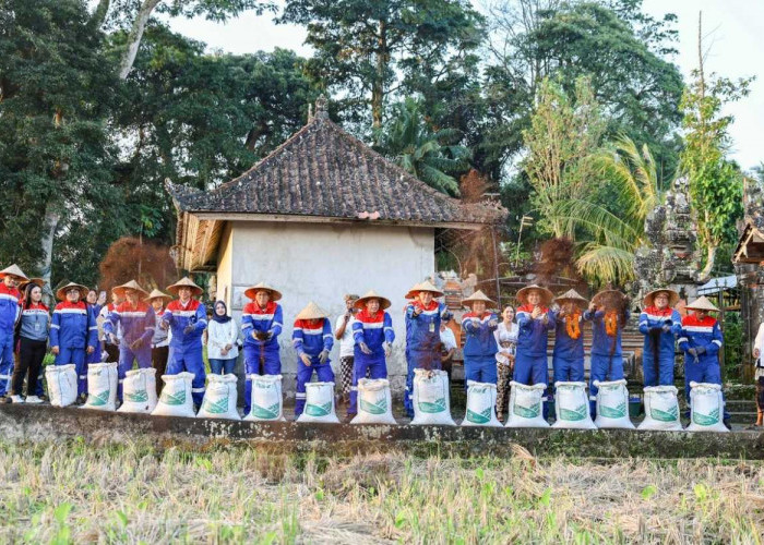 Desa Energi Berdikari ala Pertamina: Limbah 7 Ton/hari Terkelola, Produktivitas Padi Meningkat 60%