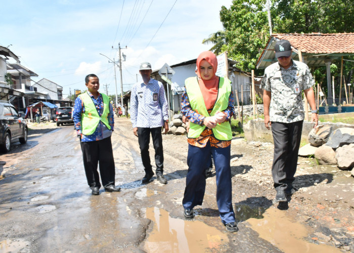 Bupati Pekalongan Fadia Arafiq Tinjau Penanganan Banjir dan Jalan Rusak di Pacar Tirto