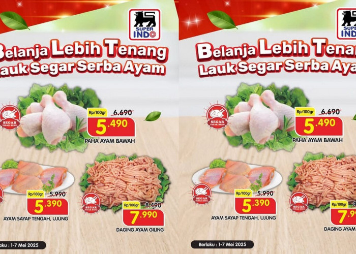 Promo Super Hemat! Ayam Segar Berkualitas Diskon Besar di Superindo, Buruan Sebelum Kehabisan!