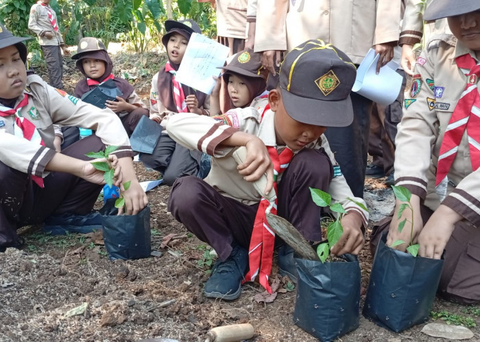 Praktik Menanam hingga Panen Melon, Nanda Siaga MI NU Takhassus Karangjati Ikuti Pesta Kebun