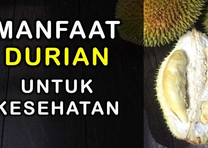 Inilah 4 Manfaat Makan Durian untuk Tubuh, Mau Tahu? Cek Faktanya ini