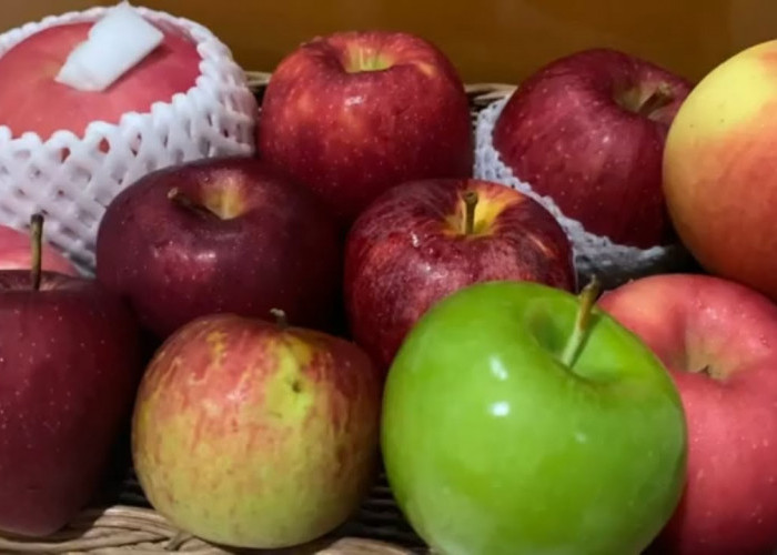 Mau Tahu Jenis Apel yang Baik untuk Tubuh Kita? Yuk Baca 3 Jenis Apel dan Manfaatnya