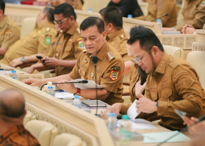 Jaga Ketahanan Pangan, Ahmad Luthfi Perketat Perlindungan Lahan Sawah di Jateng