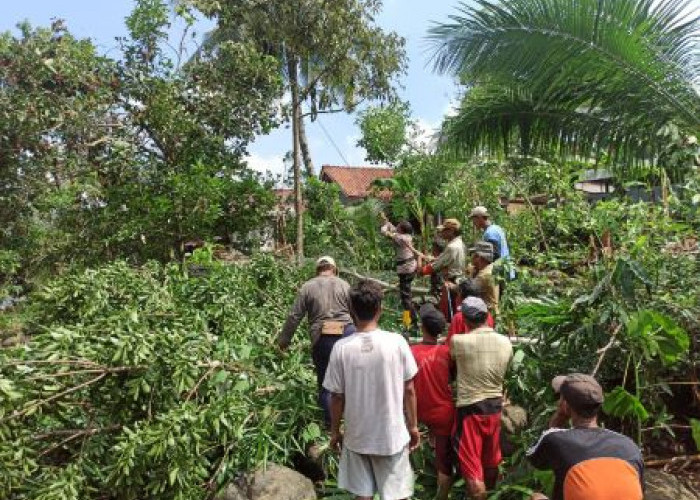 Antisipasi Pohon Tumbang, Bhabinkamtibmas Bersama Warga Gotong-royong Bersihkan Pohon yang Rawan Roboh