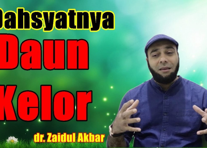 Khasiat Daun Kelor Dalam Al Quran! Mau Tau 3 Manfaatnya?