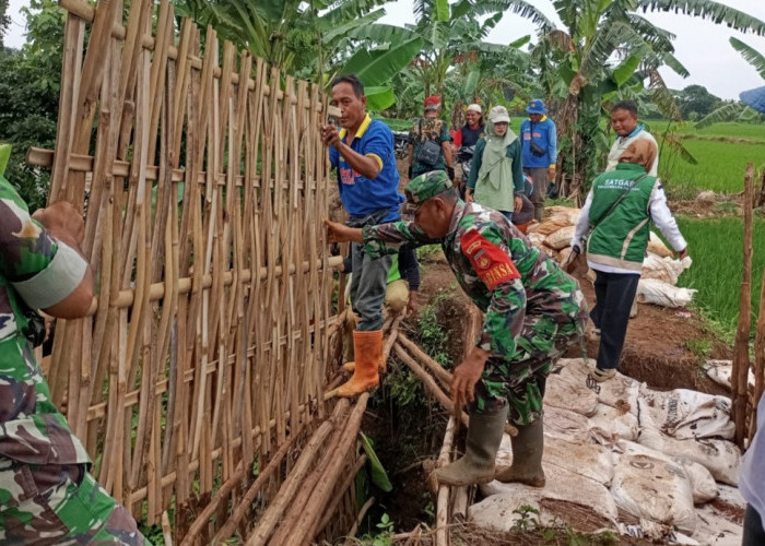 Gotong Royong Warga dan Stakeholder, Tanggul Jebol Kalibaros Tuntas Ditangani