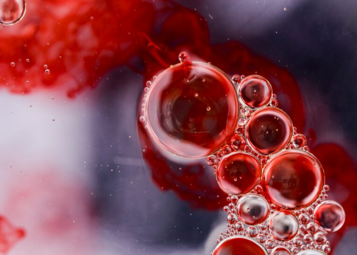 Makanan yang Bisa Membersihkan Darah Kotor: Meningkatkan Detoksifikasi Tubuh