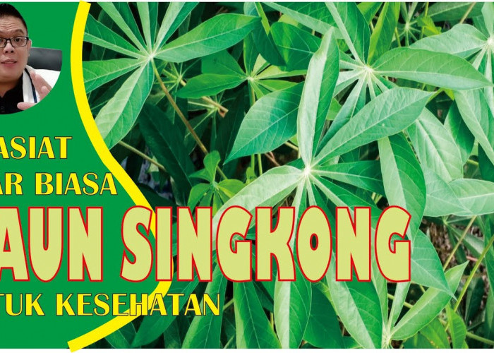 Khasiat yang Jarang Diketahui dari Daun Singkong, Mau Tahu?