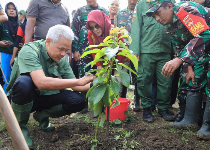 Selamatkan Lahan Kritis, Ganjar dan Warga Tanam 15 Ribu Pohon