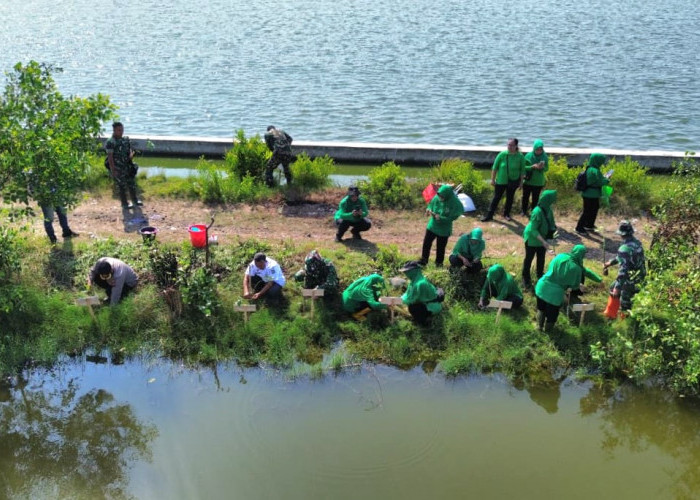 Kodim Pekalongan Tanam 250 Bibit Mangrove di Pesisir Pantai Utara, Sambut HUT ke-81 TNI dan Kodam Diponegoro