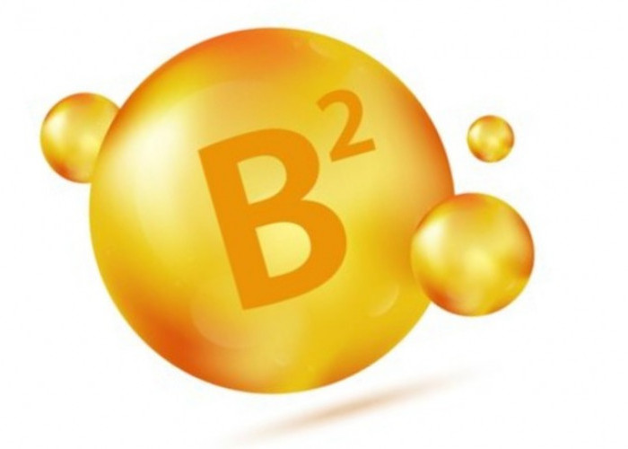 Konsumsi Vitamin B2 Penting untuk Cegah Penyakit Katarak, Ini Cara Menjaga Kesehatan Mata