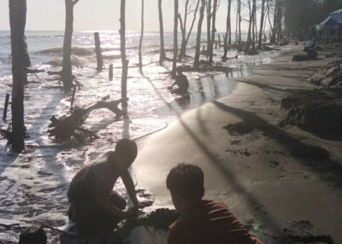 Hilangkan Penat Tak Harus Mahal, Pantai Wonokerto Jadi Pilihan Liburan Murah untuk Keluarga