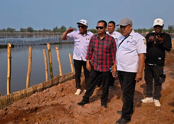 Tinjau Penanganan Banjir Rob di 3 Desa, Wakil Ketua DPRD Sumar Rosul Dorong Proyek Rampung Sebelum Musim Hujan
