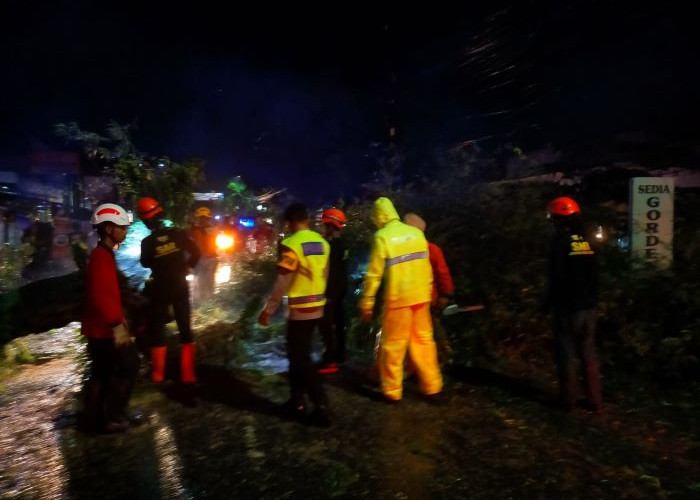 Pohon Tumbang Tutup Jalan Raya Wonopringgo-Sedayu